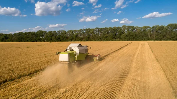 Aerial View Combine Harvester Harvesting Wheat Field Cloudy Sky — Stock Photo, Image