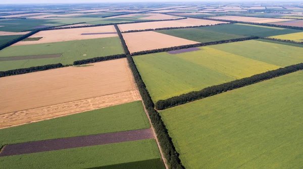 Vista Aérea Campos Con Diversos Tipos Agricultura —  Fotos de Stock