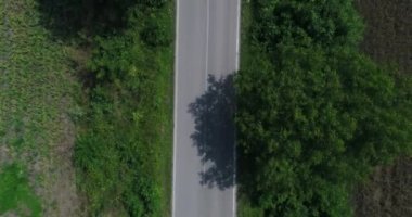 Yukarıdan aşağıya doğru. Boş asfalt yolda uçuyor. Ağaçlara yakın.. 