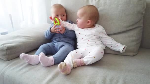 Bebê Gêmeos Sentados Sofá Tentar Levar Brinquedo — Vídeo de Stock