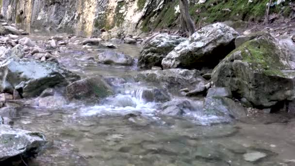 Reines Süßwasser Wald Gebirgsbach Wald Schöner Bach Natürliches Wasser Aus — Stockvideo