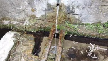 Ormandaki çeşme suyu kaynağı. Doğal kaynak suyu açık havada.