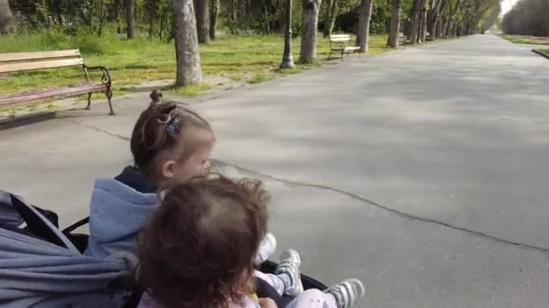Adorables Filles Sœurs Poussette Voiture Bébé Dans Parc — Video
