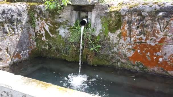 Fountain Water Source Spring Forest Natural Spring Water Outdoors — Stock Video