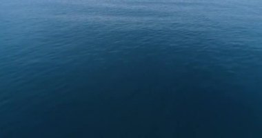 4k drone video uçuş okyanus, deniz üzerinde. Suya yakın.