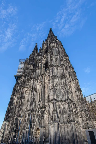Deutschland Köln Der Berühmte Dom Der Kölner Dom — Stockfoto