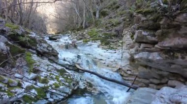Ormanda saf temiz su. Ormandaki dağ deresi. Güzel dere, dağdan gelen doğal su..