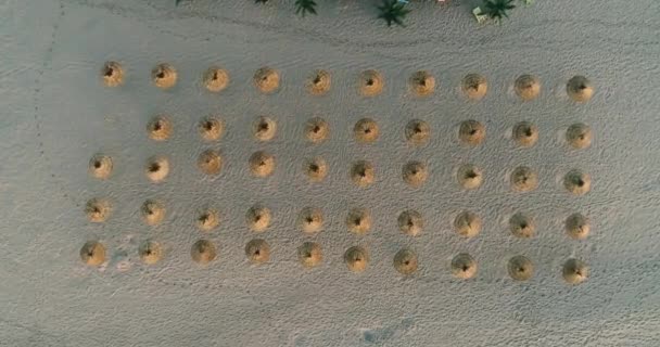 Вид Сверху Пляжные Соломенные Зонтики Восходе Солнца Пляже Вид Воздуха — стоковое видео