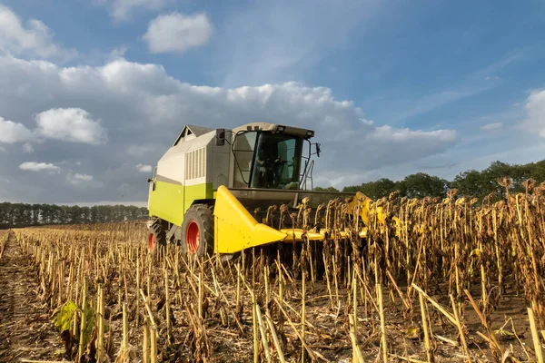 Modern Combine Harvester Harvesting Sunflower Field Cloudy Sky — Stock Photo, Image