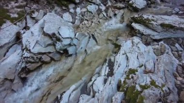Ormanda saf temiz su. Ormandaki dağ deresi. Güzel dere, dağdan gelen doğal su..