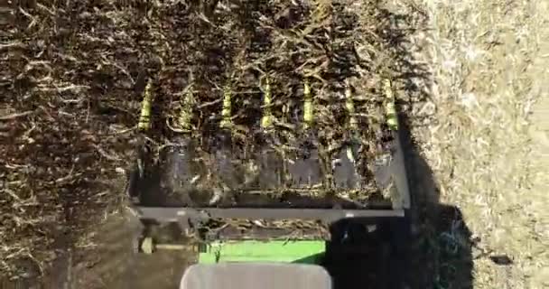 Top View Combine Harvester Close Agment Modern Combine Harvesting Corn — Video