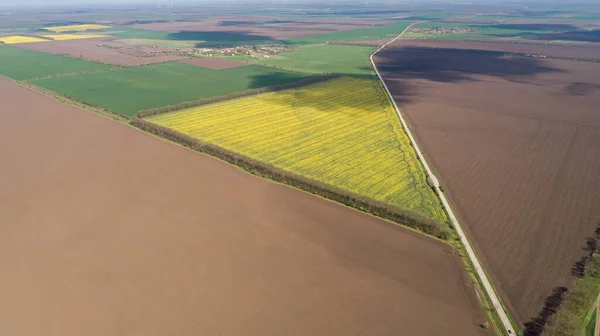 さまざまな農業を営む畑の空中風景 — ストック写真