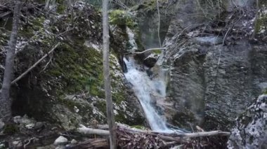 Nehir şelalesi kayaları akar. Dağ nehri. Nehir deresi deresi.
