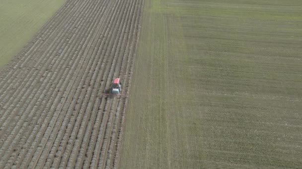 Vue Aérienne Champ Lavande Pulvérisation Tracteur Printemps — Video