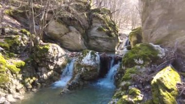 Ormanda saf temiz su. Ormandaki dağ deresi. Güzel dere, dağdan gelen doğal su..