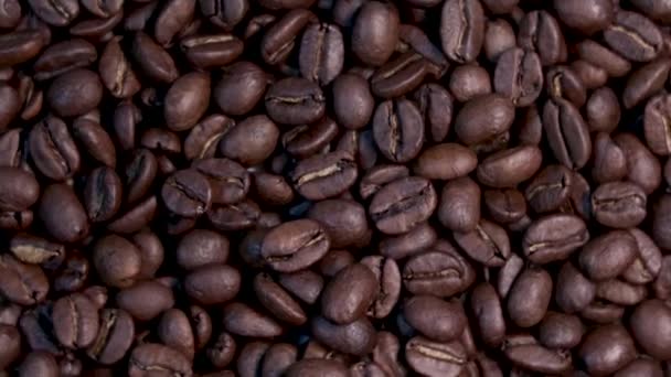 Chicchi Caffè Aromatici Appena Tostati Ruotano — Video Stock