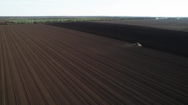 农业区拖拉机播种小麦或葵花树的空中景观 — 图库视频影像
