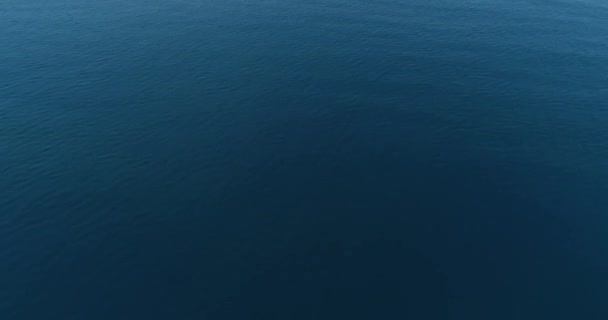 飞越大海 靠近水 — 图库视频影像