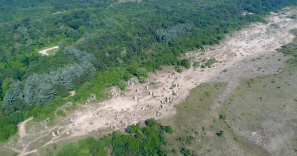 Bulgaristan Varna Kenti Yakınlarındaki Taş Ormanı Pobiti Kamani Kaya Fenomeni — Stok video