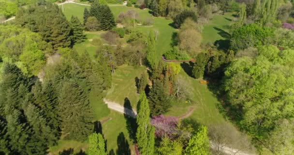 Vista Aérea Parque Cidade Jardim Verão Cidade Árvores Verdes — Vídeo de Stock