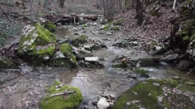 Nehir şelalesi kayaları akar. Dağ nehri. Nehir deresi deresi.