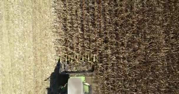 Top View Combine Harvester Close Agment Modern Combine Harvesting Corn — Vídeo de Stock