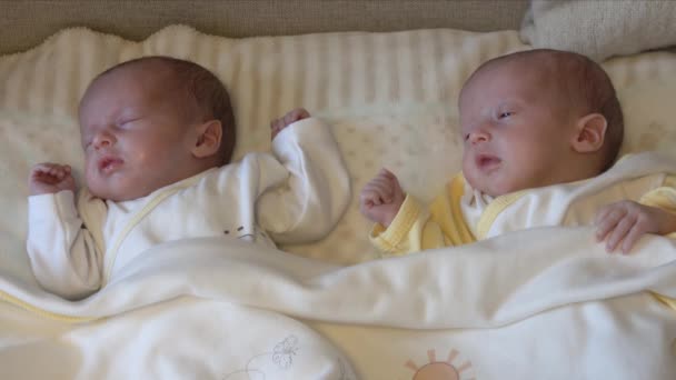 Dos Bebés Recién Nacidos Gemelos Durmiendo Una Manta Cama Casa — Vídeos de Stock