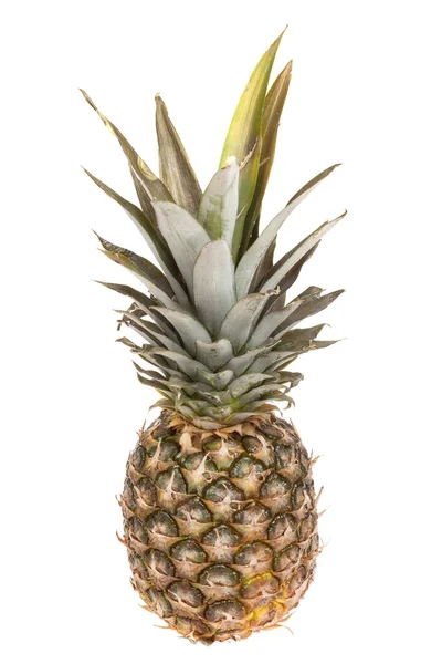 Frutta Fresca Ananas Isolata Fondo Bianco — Foto Stock