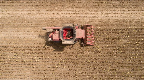 空中からの眺めは ひまわり畑で収穫し 収穫します 機械化された収穫ひまわり — ストック写真