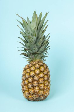 Taze ananas meyve mavi zemin üzerine