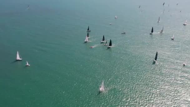 Aerial Video Yacht Race Sailing Regatta — Vídeos de Stock