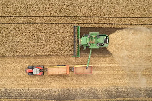 Top View Combine Harvester Wheat Field Unloading Tractor Trailer — Φωτογραφία Αρχείου