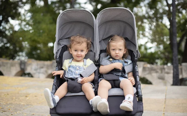 Fraternal Twin Baby Girls Sitting Stroller Baby Carriage — Stock Photo, Image