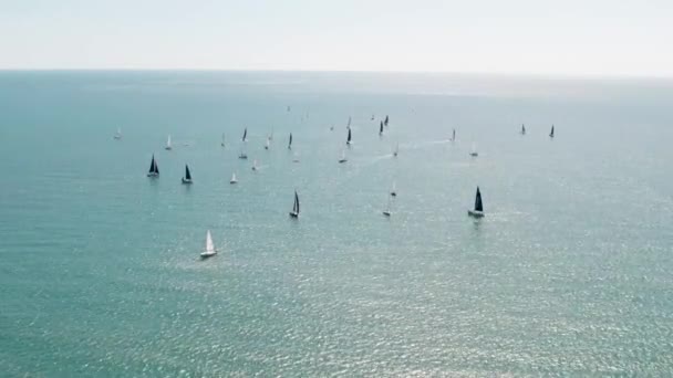 Luftbild Vom Yachtrennen Einer Segelregatta — Stockvideo