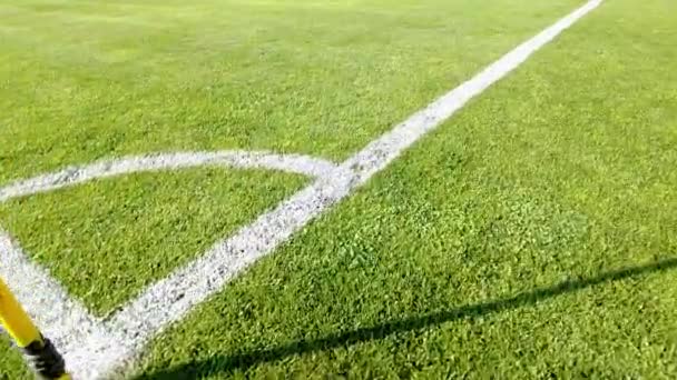 Corner Pitch Soccer Football Field Grass Close Lines Grass Soccer — Stok video