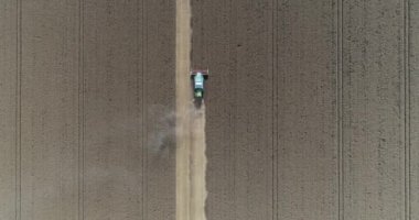 Hasat makinesini birleştirin, tarlada buğday hasat edin. Hava aracı görünümü