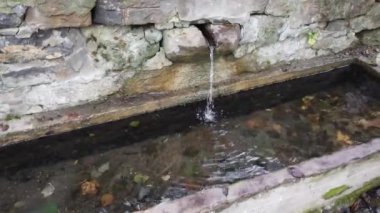 Ormandaki çeşme suyu kaynağı. Doğal kaynak suyu açık havada.