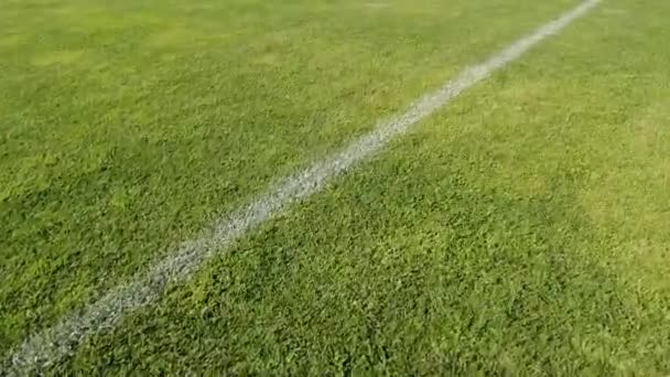 Piłka Nożna Trawa Futbolowa Blisko Linii Trawy Boisku Piłki Nożnej — Wideo stockowe