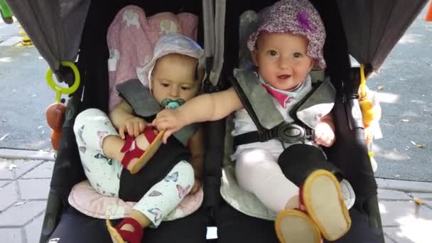 Deux Sœurs Jumelles Fraternelles Amusent Dans Une Poussette Landau — Video