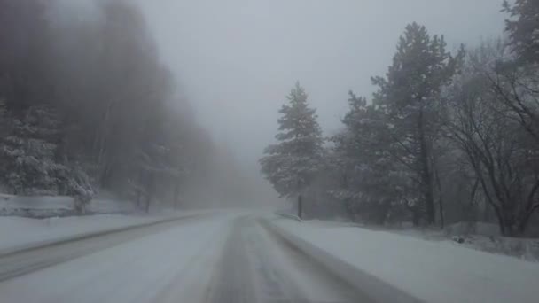 Driving Winter Snow Road View Windshield Highway Winter — Wideo stockowe