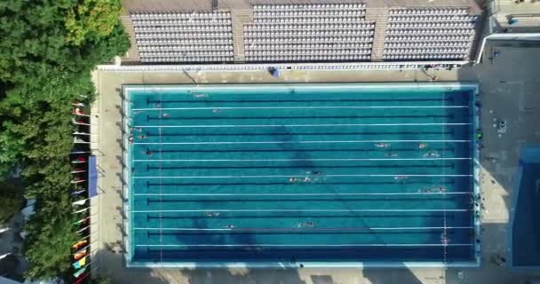 Halka Açık Yüzme Havuzunun Yukarıdan Aşağıya Görünümü Profesyonel Yüzücü Pratik — Stok video