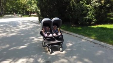 Bebek arabasında sevimli ikiz kızlar, parkta bebek arabası.