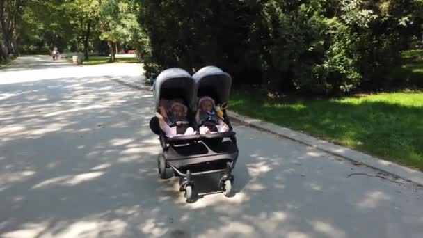 Adoráveis Meninas Gêmeas Carrinho Carrinho Bebê Parque — Vídeo de Stock