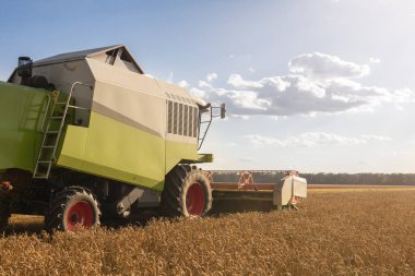 Modern birleşim, hasat, buğday tarlasında hasat, bulutlu gökyüzü