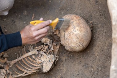 Archaeological excavations. Archaeologist working on human remains excavation clipart