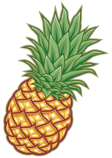 Vektör ananas — Stok Vektör