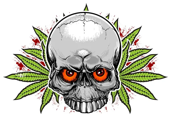 Skull and weeds — Stock Vector