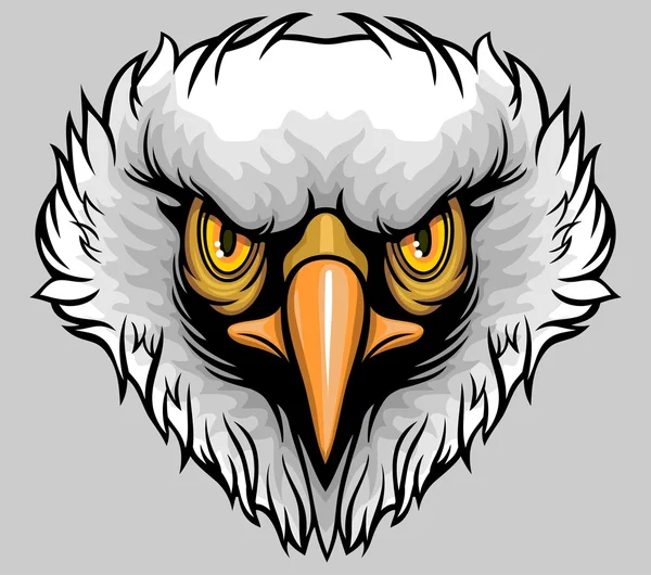 Balded eagle — Stock Vector