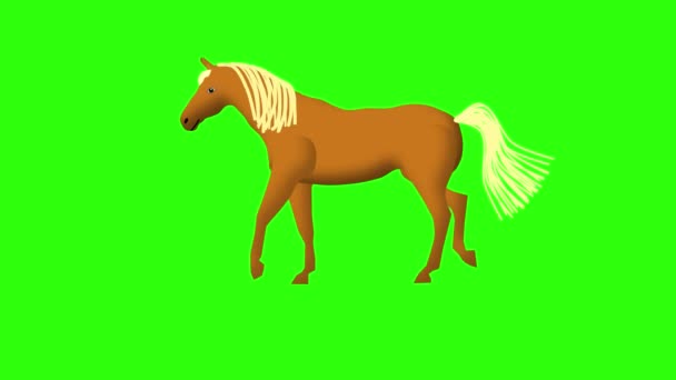 Коричневая Бегущая Лошадь Белой Гривой Зеленом Фоне Изоляция Анимация — стоковое видео
