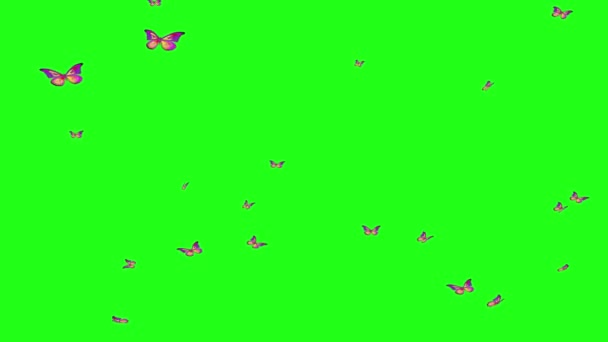 蝴蝶在飞 卡通角色 五颜六色的蝴蝶在绿色的背景上朝着不同的方向飞行 动画制作 — 图库视频影像